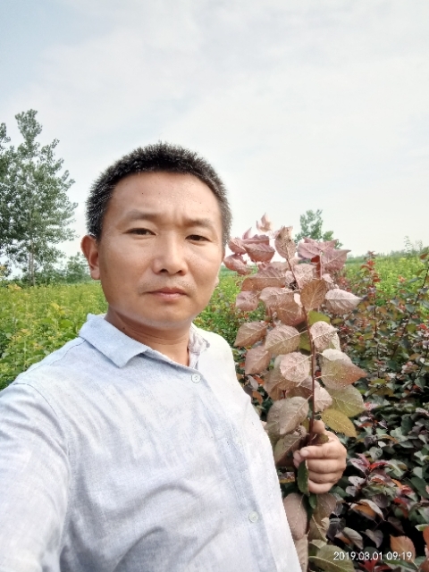 孩子爸的第二张照片--徐州父母相亲团